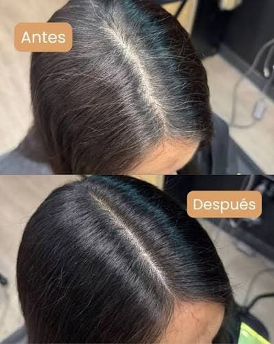 Foto de usuario de referencia para el borrador
